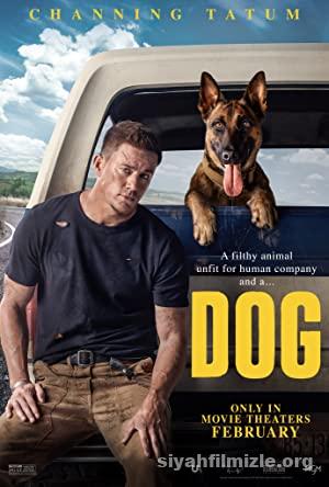 Köpek (Dog) 2022 izle